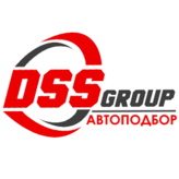 DSS Group 