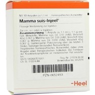 MAMMA SUIS Injeel Amp. 10st