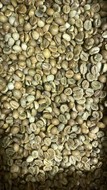    ROBUSTA GREEN COFFEE BEANS Screen 15 WET POLISHED, EQUATORIAL BEANS FACTORY LTD, 