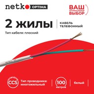   2, CCS, 100, ,  NETKO Optima